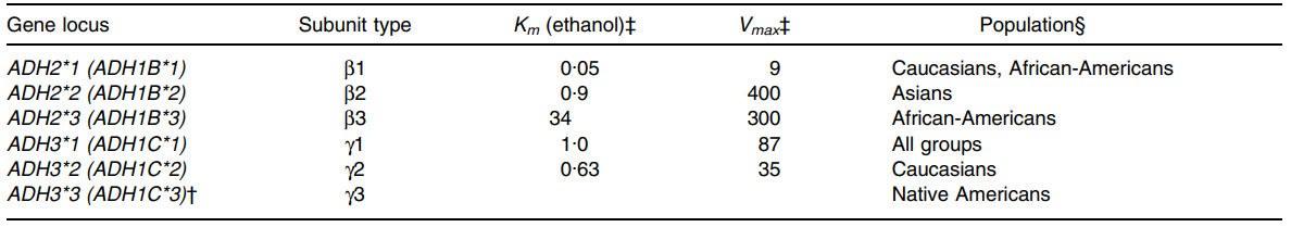 Properties of polymorphic forms of human alcohol dehydrogenase