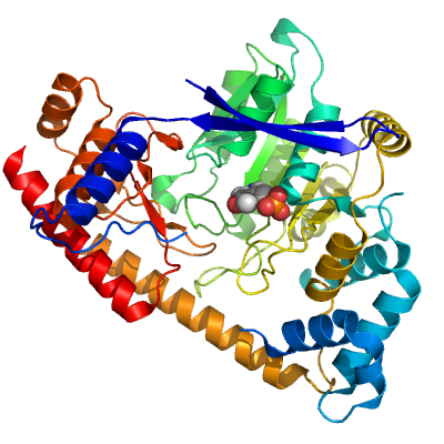 Protein structure of ALT