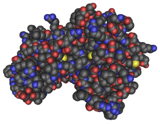 Protein structure of AMPK.