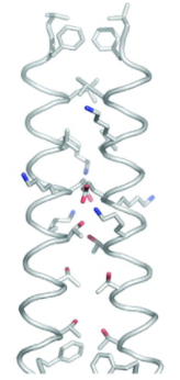 The  dimer interface formed by α3 of the two molecules in the asymmetric unit