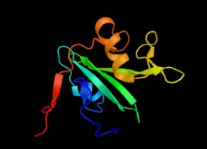 Abl kinase