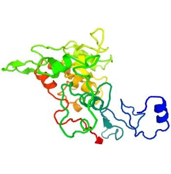 Figure 2: The crystal structure of human 3-galactosyl-N-acetylglucosaminide 4-alpha-L-fucosyltransferase