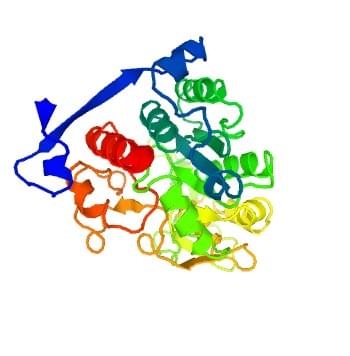 Figure: The crystal structure of human N-acetyllactosaminide beta-1,6-N-acetylglucosaminyl-transferase.