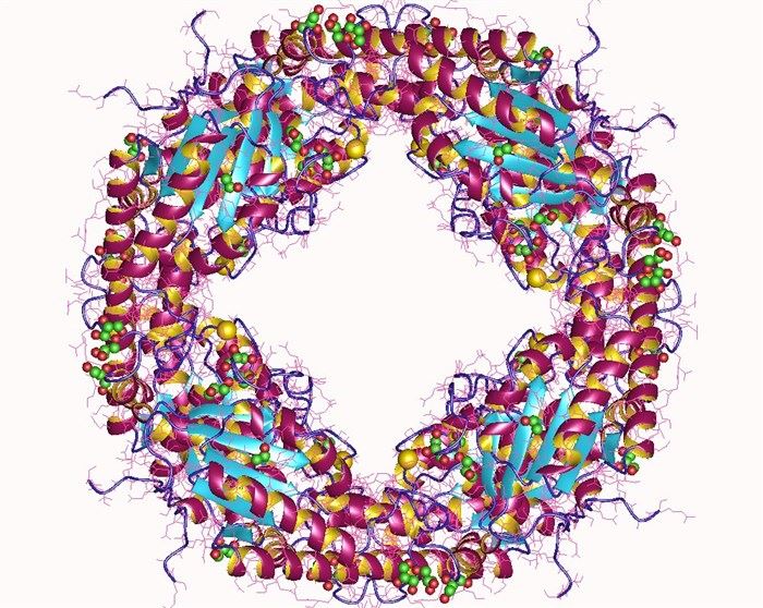 Protein structure of acetylxylan esterase.