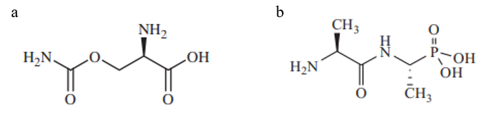 Structure of Alr inhibitor O-carbamyl-D-serine and alafosfalin