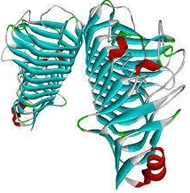 Protein structure of pectinase.