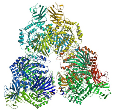 Enzyme Activity Measurement for Alpha-D-Xyloside Xylohydrolase