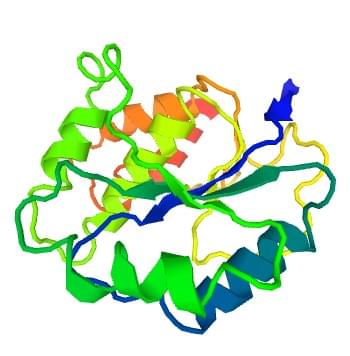 Figure: The crystal structure of human lactosylceramide 4-alpha-galactosyltransferase.