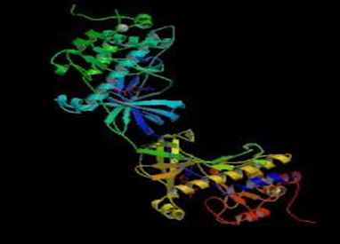 Alpha kinase family