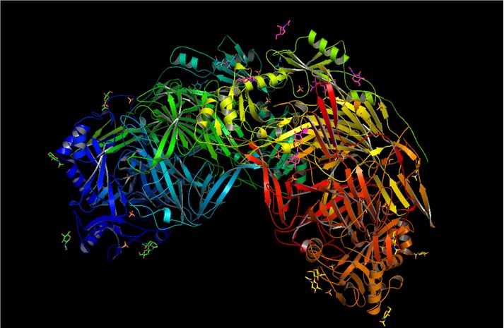 Structure of lysyl oxidase (LOX)