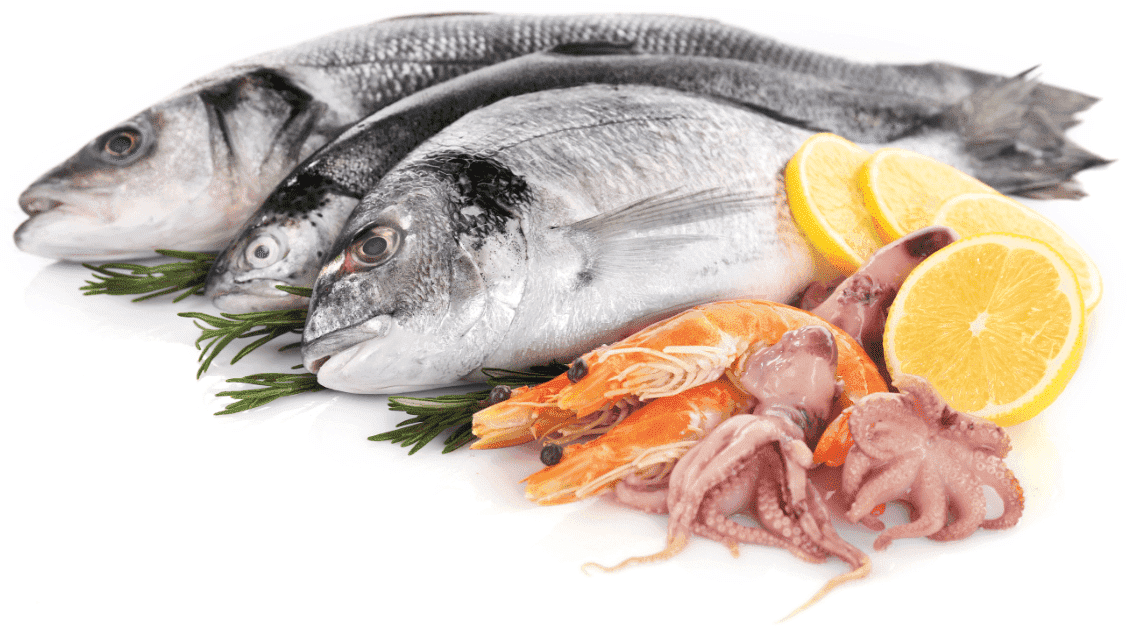 Application of Enzymes in Meat and Fish Processing