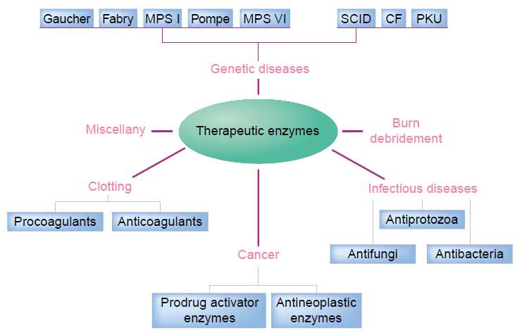 Application of Enzymes in the Treatment of Diseases