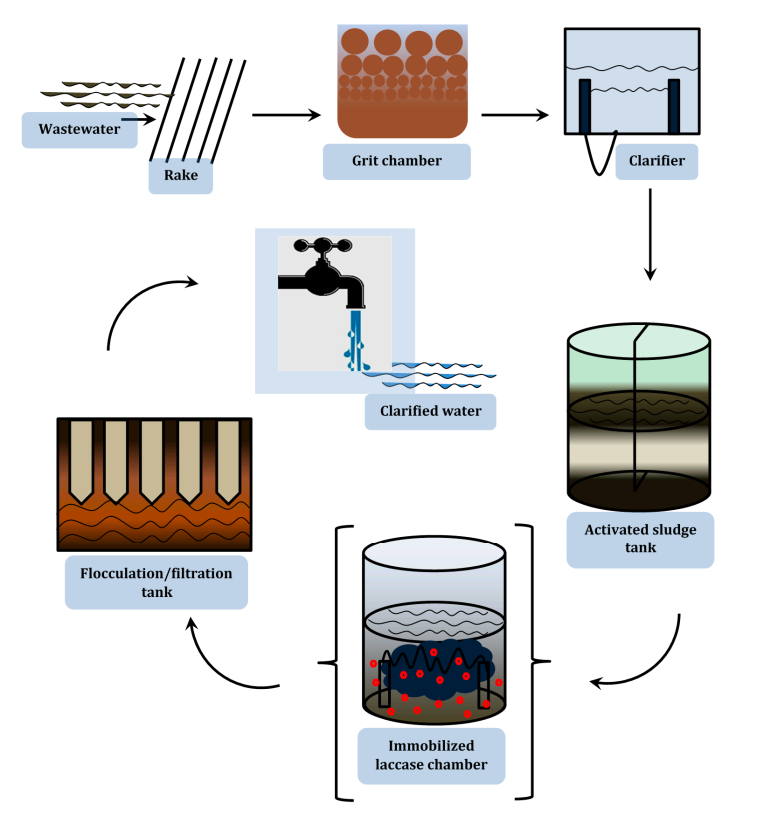 Application of Enzymes in Waste Water Treatment