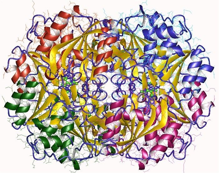 Asparaginase