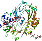 Glucose Oxidase (Food Grade)