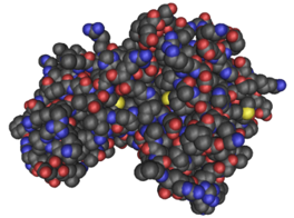 Protein structure of AMPK.