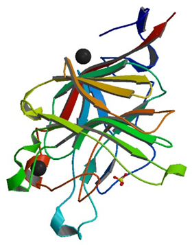 Enzyme Activity Measurement of Beta-Porphyranase