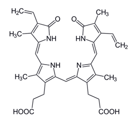 Bilirubin oxidases