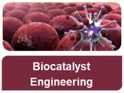 Biocatalysis Services