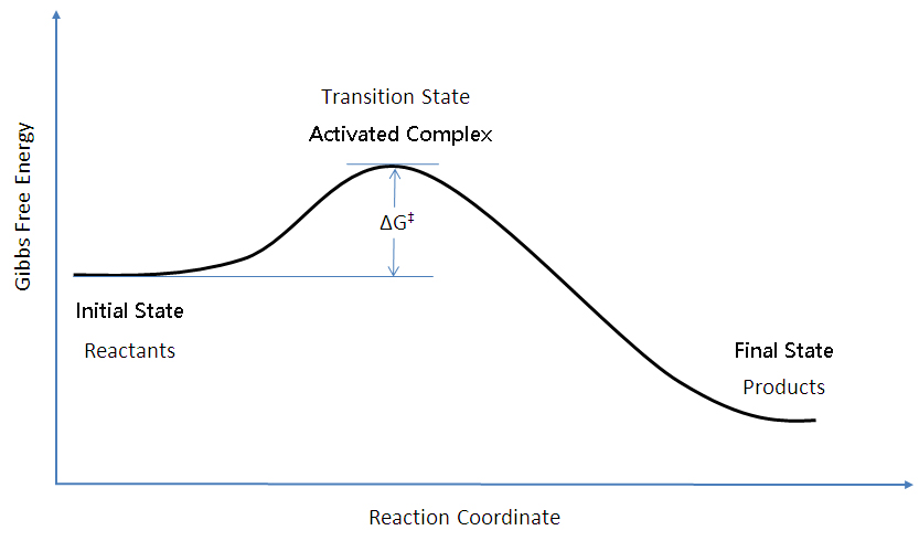 Transition state theory. The transition state is located at the peak of the curve on the Gibbs free energy graph.