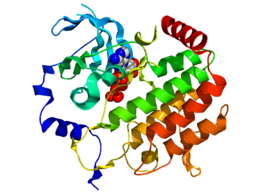 Protein structure of BUB1.