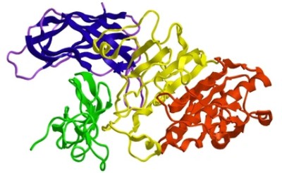 Butter-fat enzymes 2