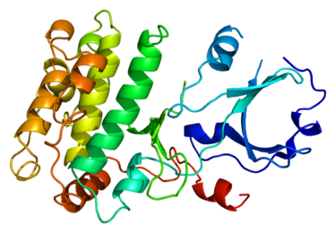 Protein structure of CAMK1.