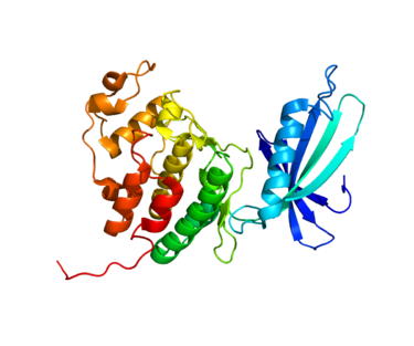 Protein structure of CDK4.