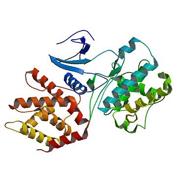Protein structure of CDK5.
