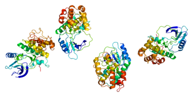 Protein structure of CDK7.
