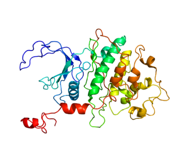 Protein structure of CDK9.