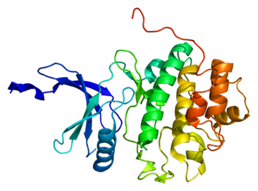 Protein structure of Chk1
