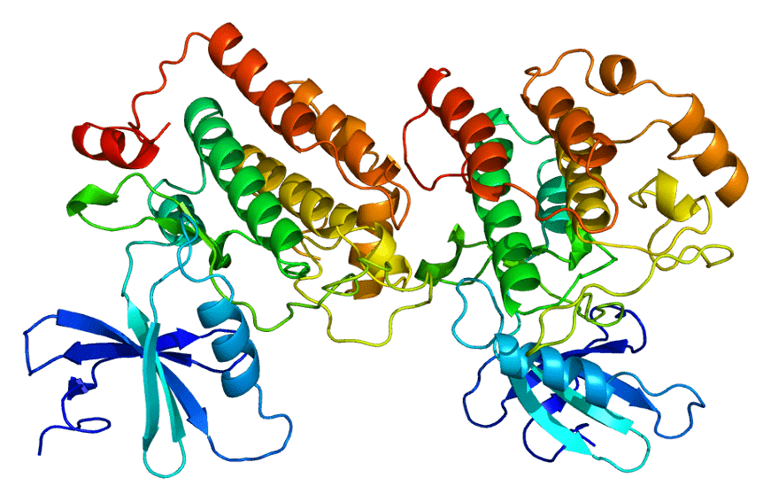 Protein structure of CK1
