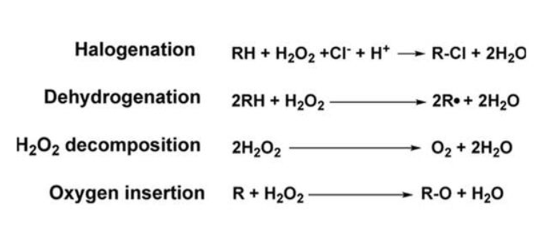Reactions catalyzed by CPO.