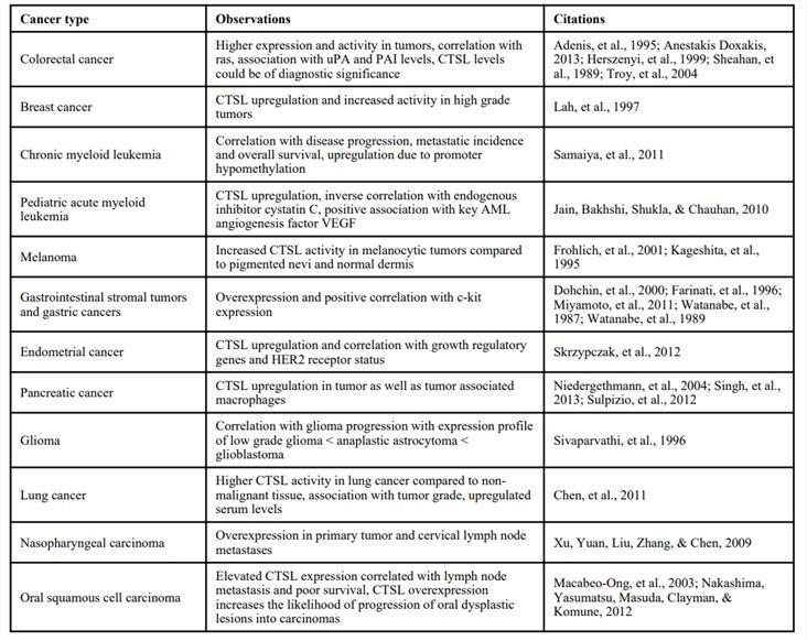 CTSL upregulation in human cancers