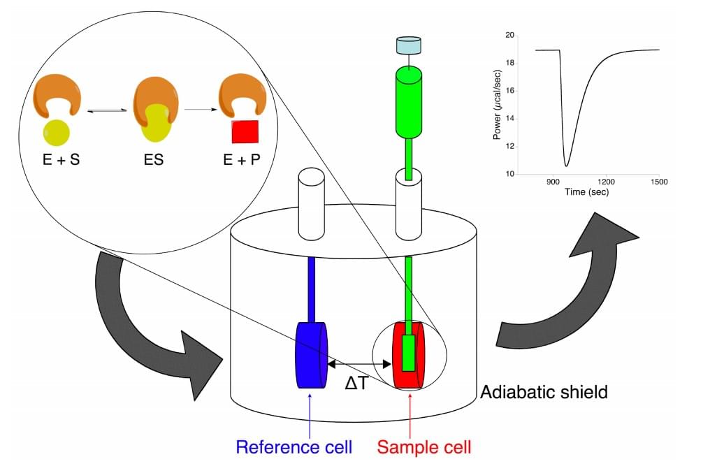 Schematic representation of isothermal titration calorimeter to study enzymatic reactions.