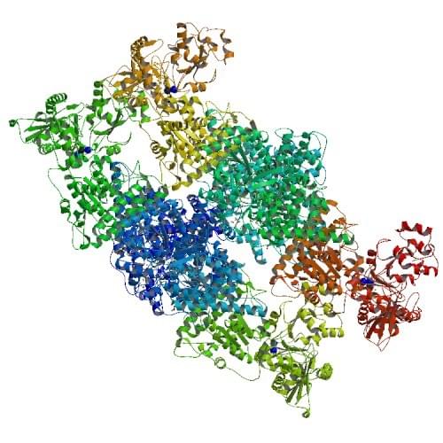 Enzyme Activity Measurement of Carbon-monoxide Dehydrogenase (ferredoxin) Using Spectrophotometric Assays