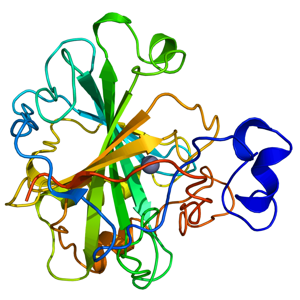 Carbonic Anhydrase