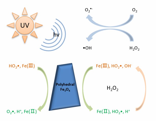 Degradation of tetracycline based on polyhedral Fe3O4 nanozymes.