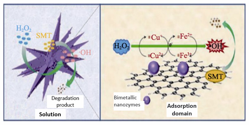 Reaction mechanism of SMT degradation in Fe / Cu peroxidase-like system based on Fenton reaction.