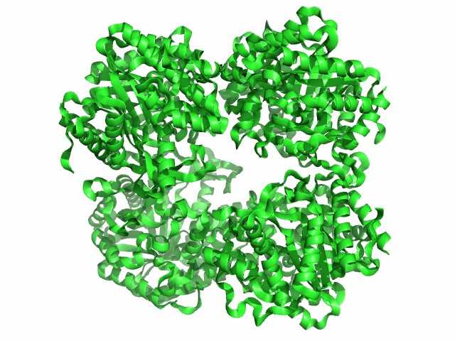 Structure of cellobiase