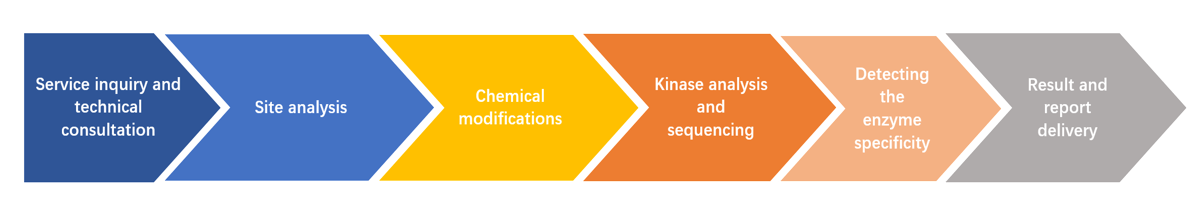 Enzyme chemical modification workflow