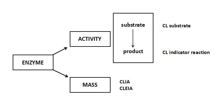 The Chemiluminescent assay strategies for enzymes.