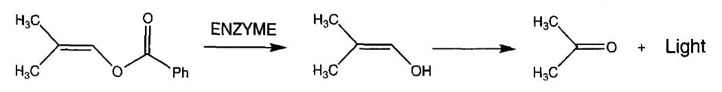 Enzyme assay using a 2-methyl-1-propenyl benzoate substrate.