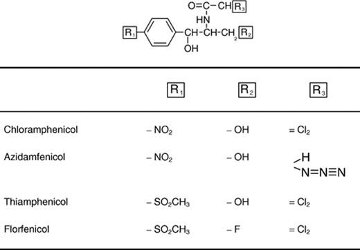 Structure of chloramphenicol and related substances