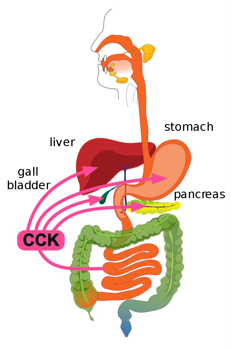 CCK