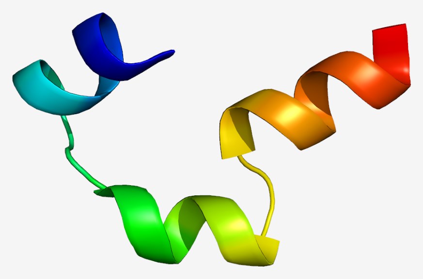 Effects of cholecystokinin on the gastrointestinal tract.