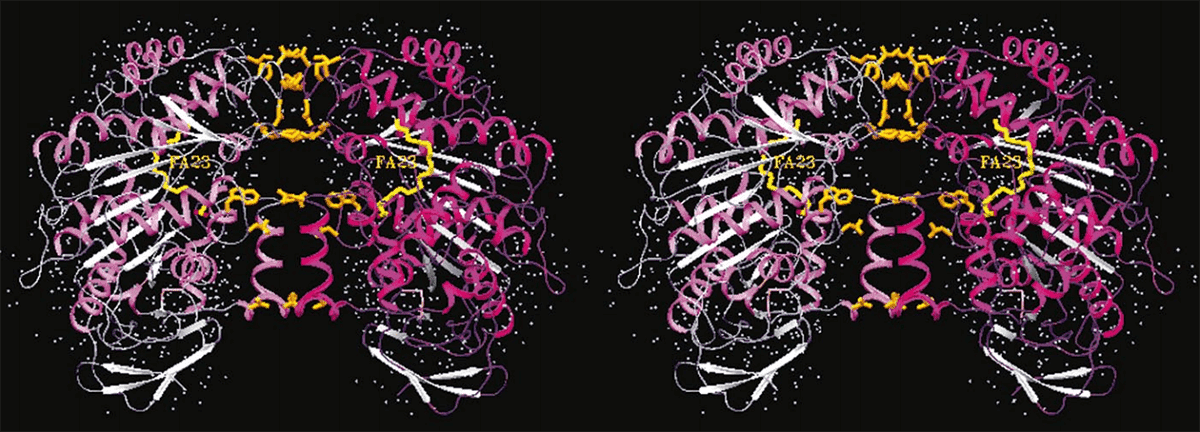 Cholesterol Esterase