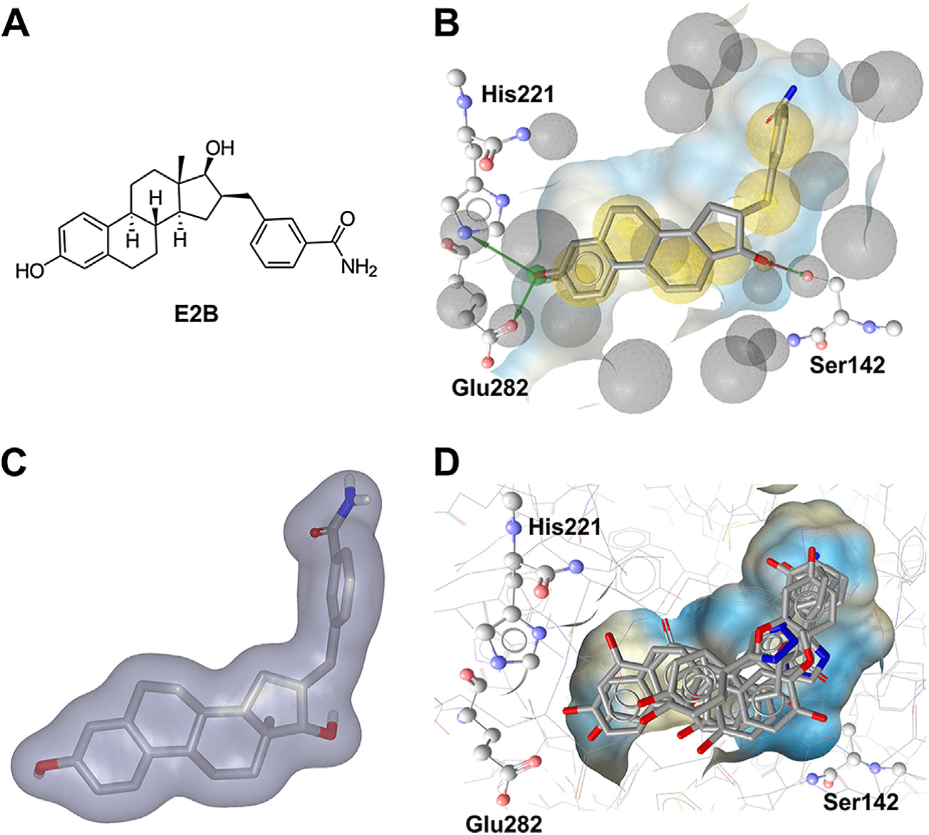 Principles of commonly applied computational tools exemplified on the crystal structure of 17β-HSD1