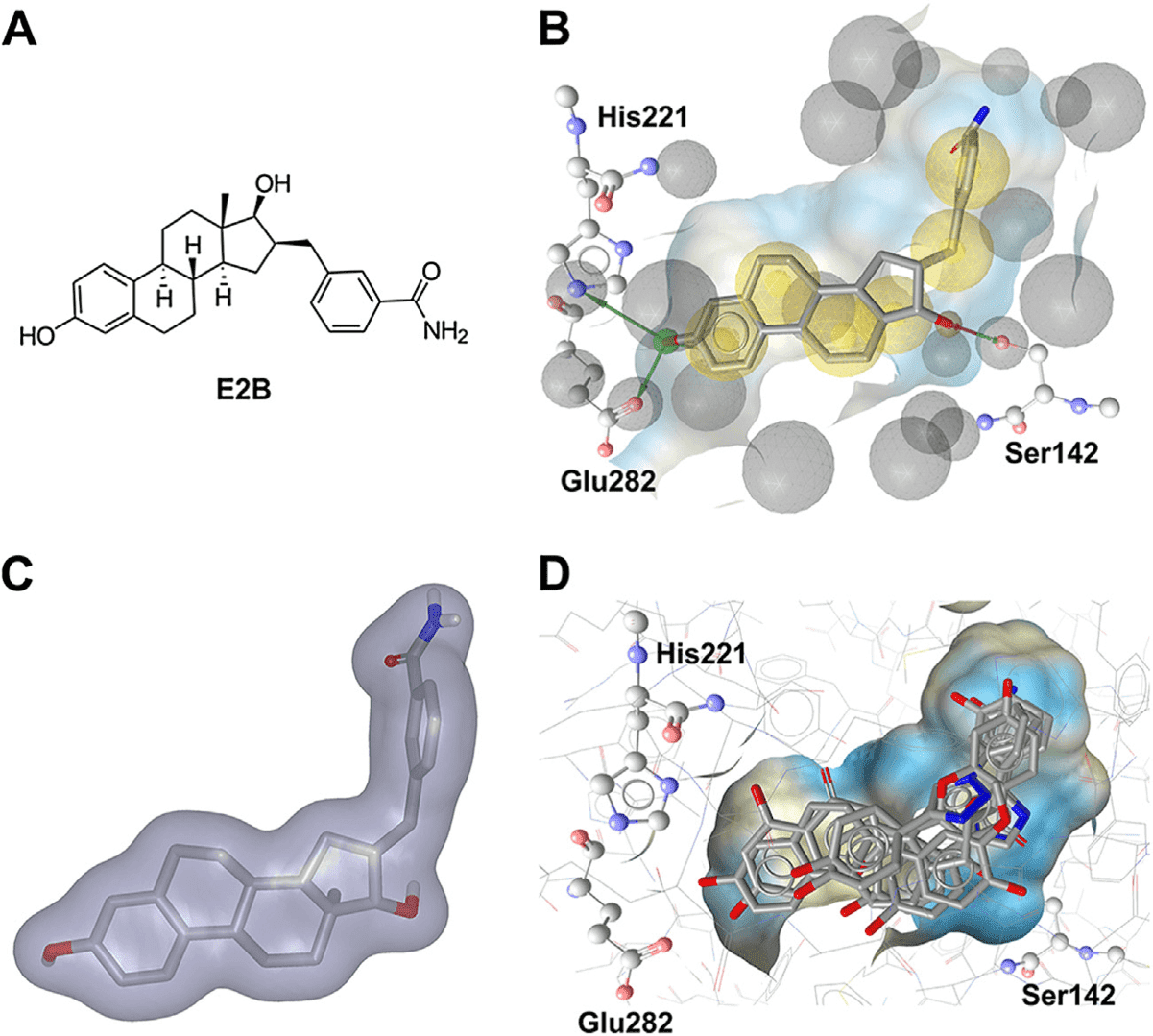 Principles of commonly applied computational tools exemplified on the crystal structure of 17β-HSD1